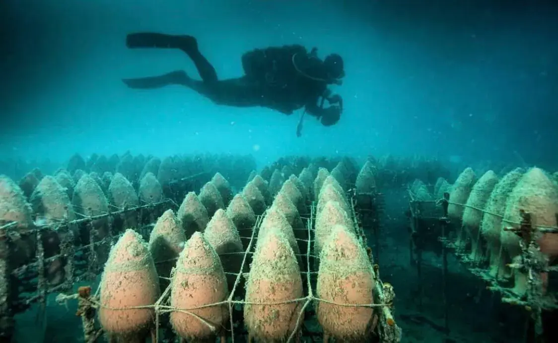 A diver above the rows of submerged amphorae