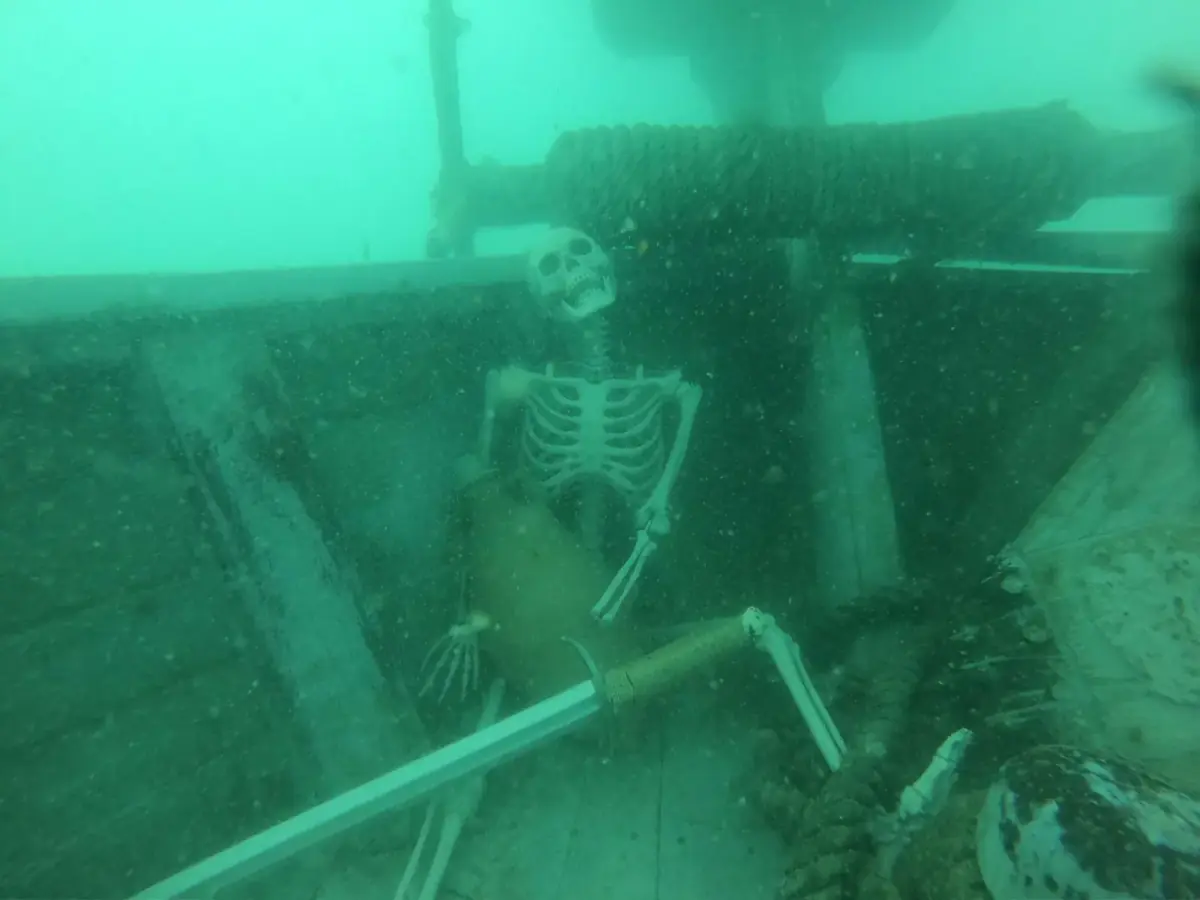 Under the sea — 8